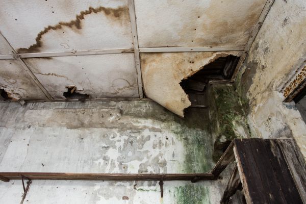Cost of Water Damage Service in Danbury