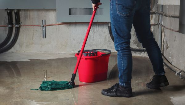 Cost of Flooded Basement Cleanup in Danbury