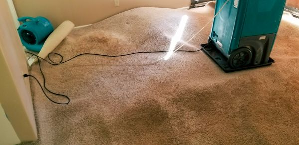 Cost of Flood Damage Cleanup in Danbury