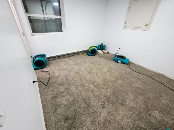 Cost of Flood Restoration Service in Danbury