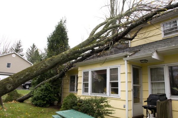 Hurricane Damage Repair in Danbury