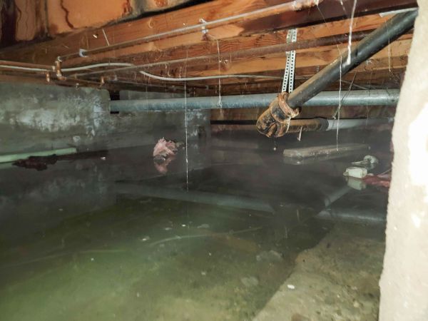 Cost of Crawlspace Water Restoration in Danbury